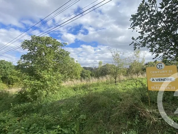 Terrain 6977 m²