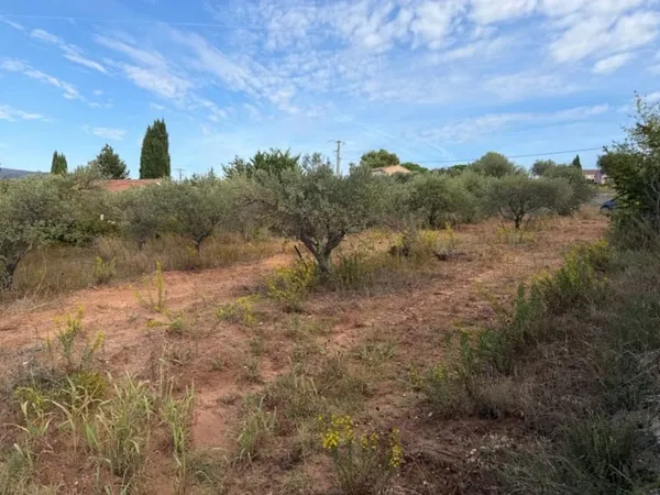 Terrain 446 m²