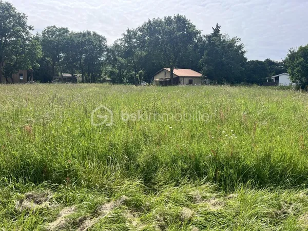 Terrain 1432 m²