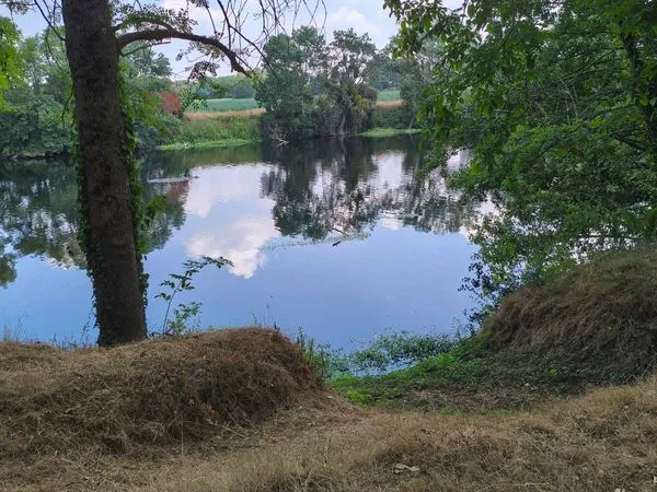 🎣 Terrain de loisirs 4 800 m² - Pêche, détente & camping - Cenon-sur-Vienne
