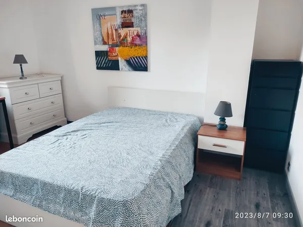 Chambre dans coloc Lyon 5