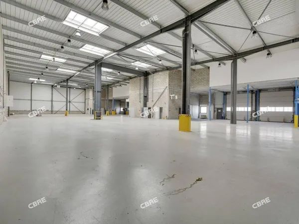 Local d'activité 1039 m²