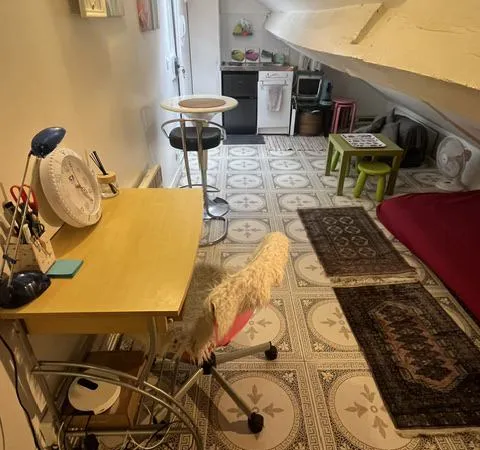 Studio meublé  5ème arr.  / Mansarda ammobiliata