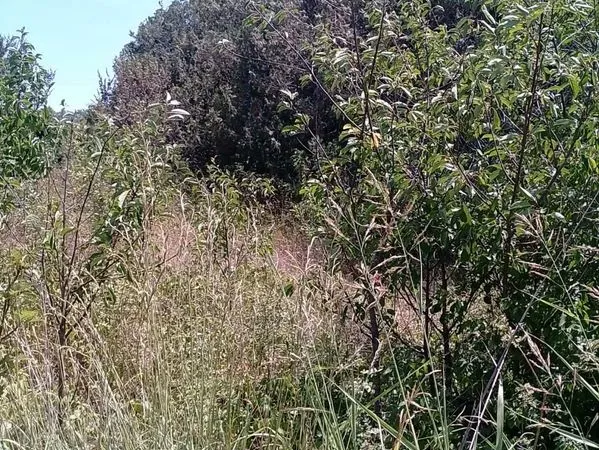 Terrain agricole