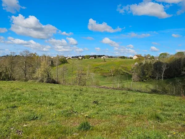 Momuy (proche Hagetmau) : A vendre - Terrain de 9800 m2 dont 6156 m2 constructible 19500