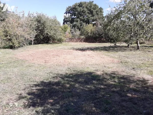 Terrain 725 m²