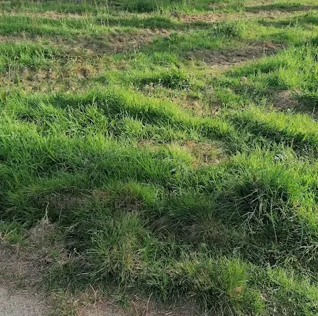 Terrain 935 m²