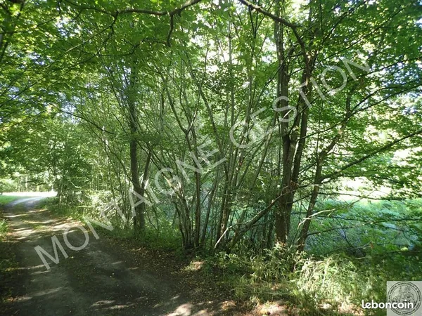 Terrain 2137 m² ST JEAN AUX BOIS
