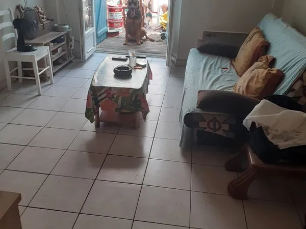 Appartement Amélie-les-Bains-Palalda