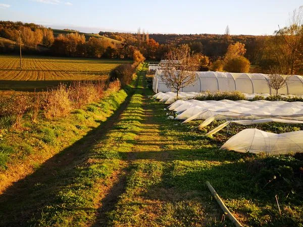 Terrain agricole
