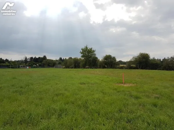 Terrain 1561 m²
