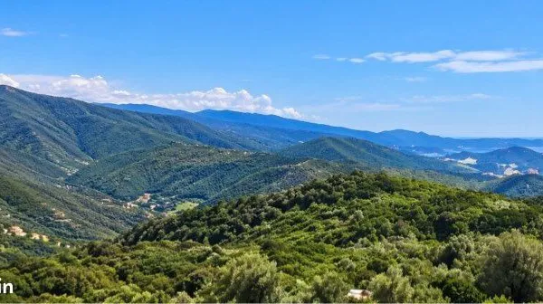 Terrain à Albitreccia - Environ 5 000 m² - Vue dégagée et aperçu mer