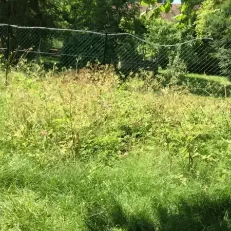 Terrain 667 m²