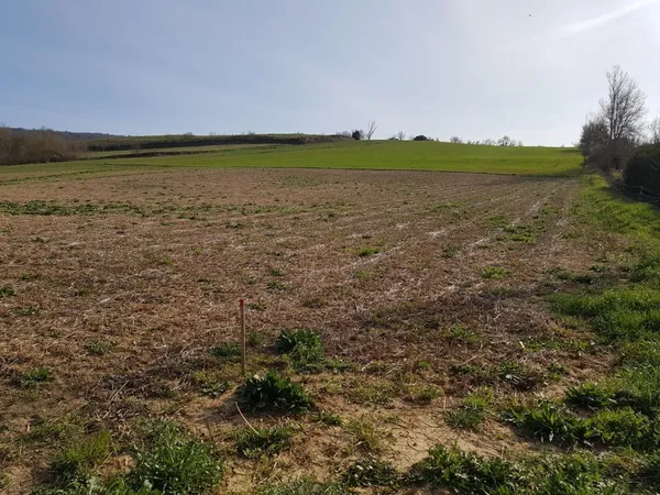 Terrain 1225 m²