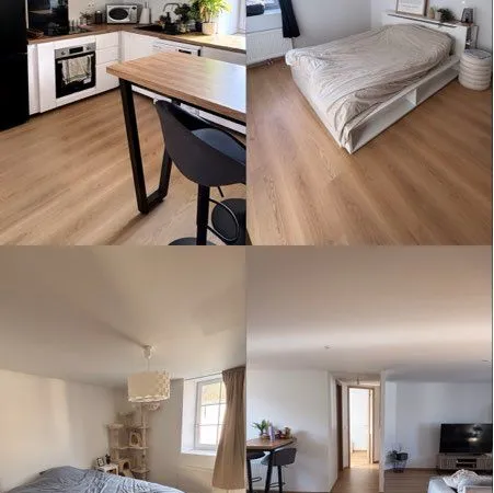 Appartement en duplex coeur de lons