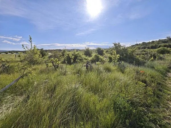 Terrain boisé 2410 m²