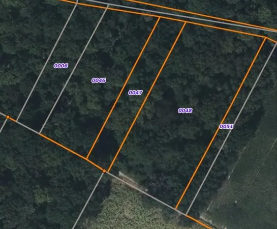 Vente d'une parcelle n°47 de forêt à Giverny (négociable)