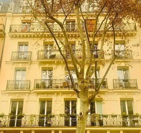 Appartement 2 pièces 34 m²