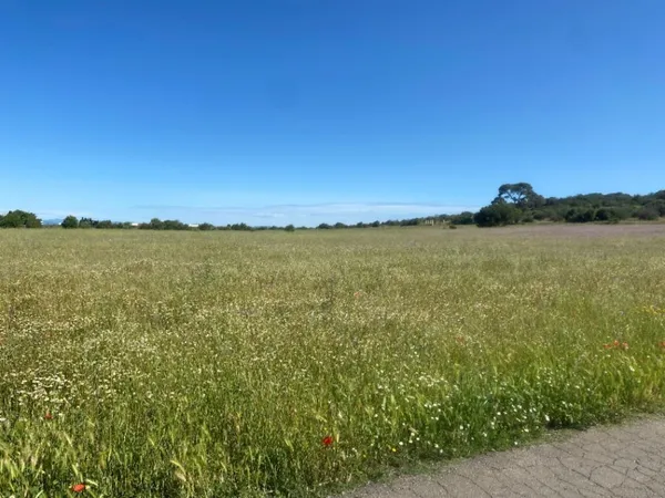 Terrain 366 m²
