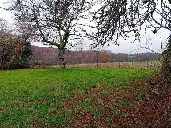 Terrain constructible 2970 m²