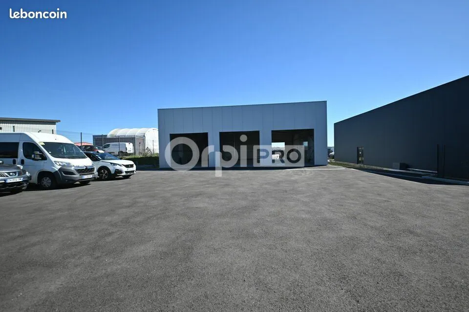 Photo 7