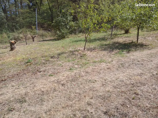 Terrain constructible