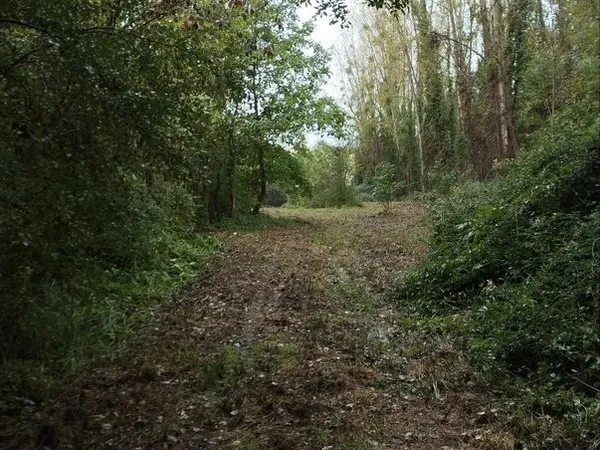 Terrain de loisir
