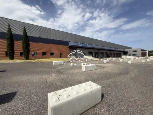 Loue local d'activité - 9623 m² - Miribel 01700