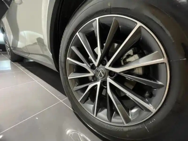 Lexus Nx 450h+ luxe 4wd my25 — photo 11