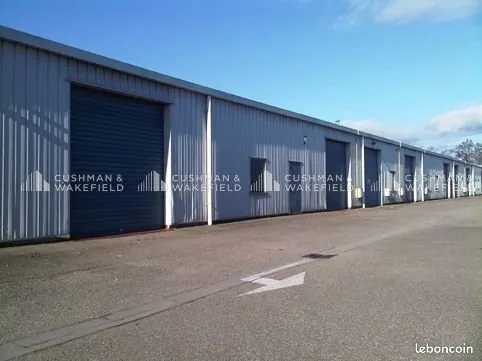 Bureaux 300 m²