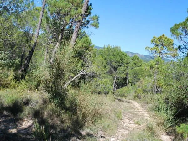 TERRAIN VIABILISE SALERNES