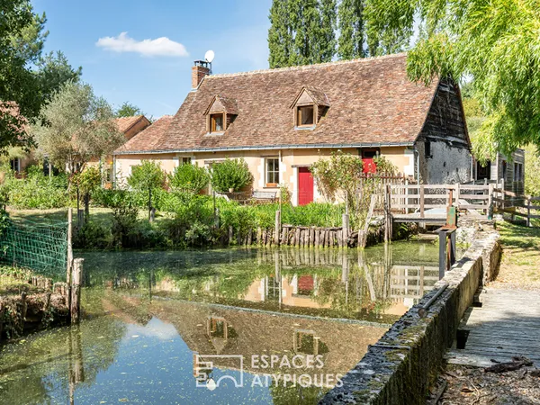 Moulin de charme et 3 gîtes au coeur d'un écrin de nature