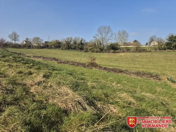 Terrain constructible
