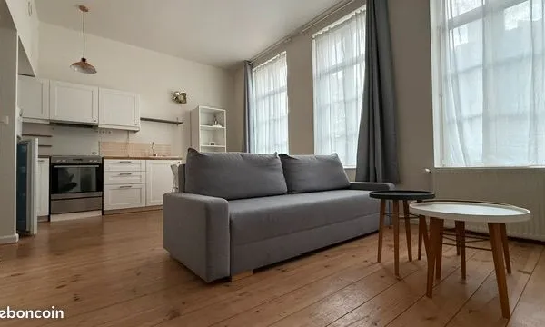Vieux-Lille - Appartement meublé 39 m² - 1 chambre