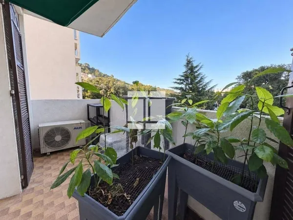 Appartement 1 pièce 45 m²