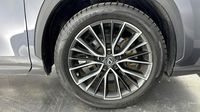 Lexus Nx 450h+ Executive 4WD — photo 20