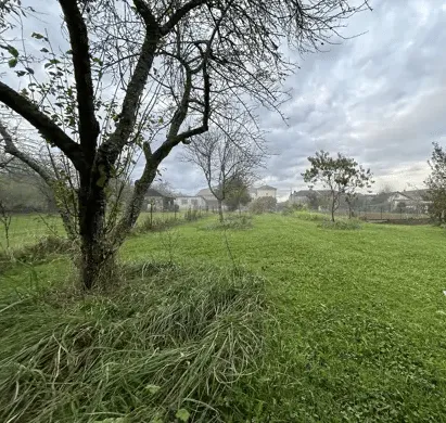Terrain 1017 m²