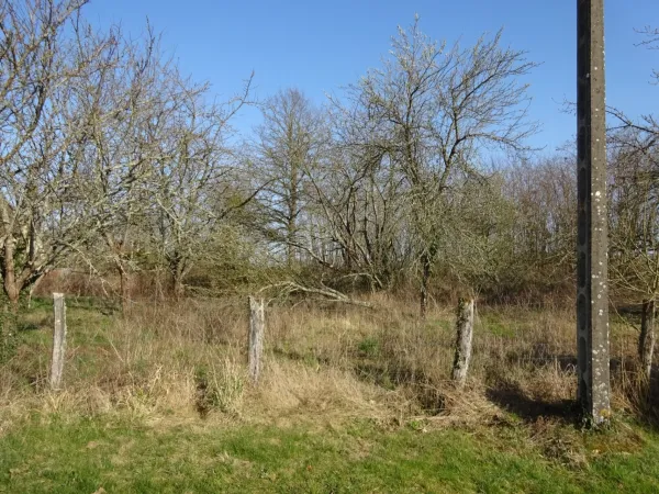 Terrain 1341 m²