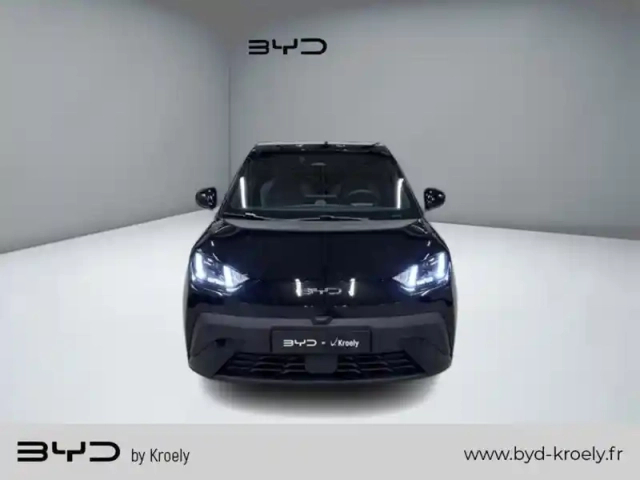 Byd Dolphin surf comfort 115 kw — photo 8