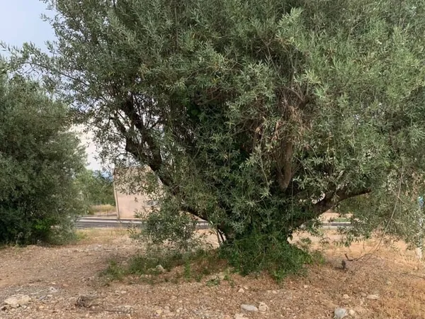 Terrain 360 m²