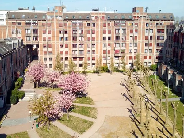 Appartement t2