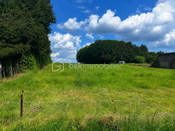 Terrain 6164 m²