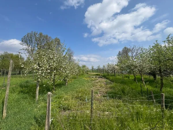 Terrain 544 m²