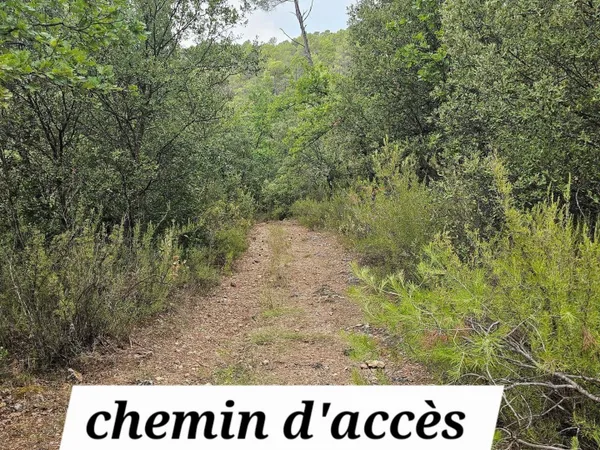 TERRAIN EN ZONE NATURELLE - UN ÉCRIN DE VERDURE À PRÉSERVER