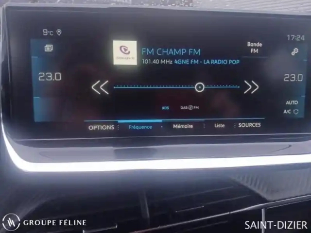 Peugeot 208 1.2 puretech 100ch s&amp;s roadtrip 118g — photo 14