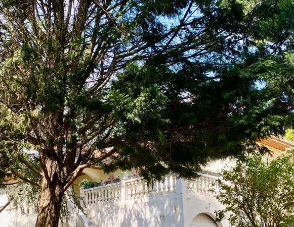 Grande Habitation Secteur Residentiel Ecully