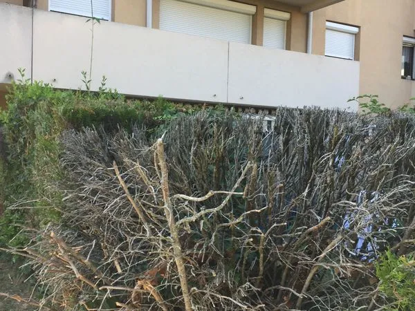 Location appartement 47 m² T2 avec garage