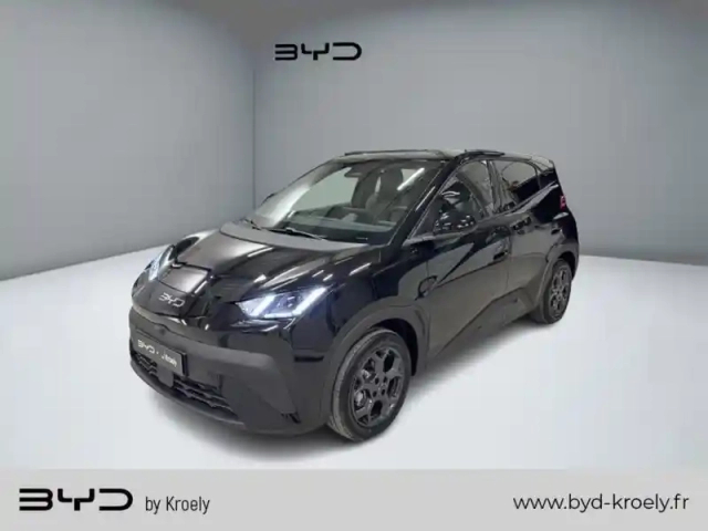 Byd Dolphin surf comfort 115 kw — photo 1