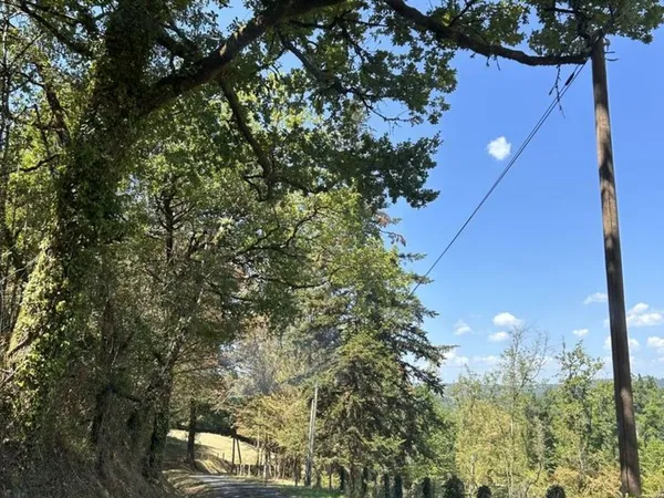 ROUTE DE JUILLAC 8050M2 HP TERRAIN NON CONSTRUCTIBLE