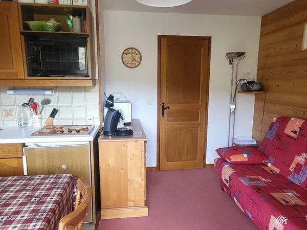 Appartement sur les pistes
